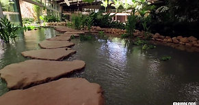 Una piscina Rocks Design dentro un giardino tropicale
