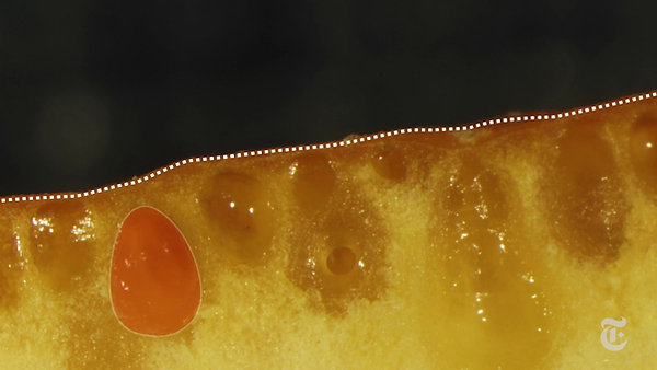 NY Times: Hidden Power of Squirting Citrus Fruit