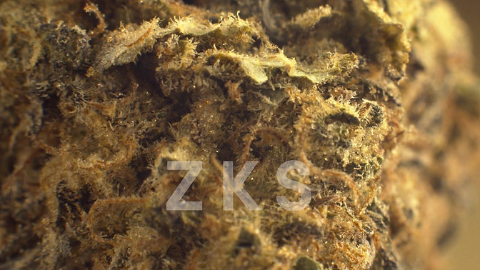 Mango ZKS - What Goes Into Our Pods