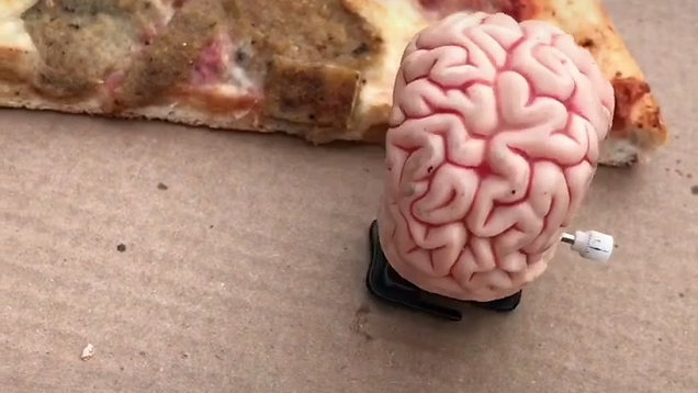 Brain Going for Pizza