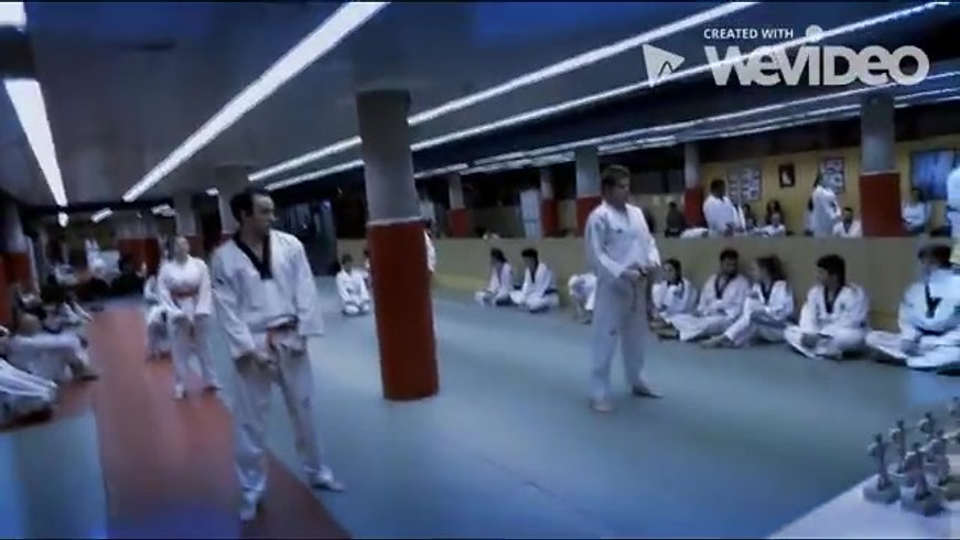 Taekwondo Park Madrid
